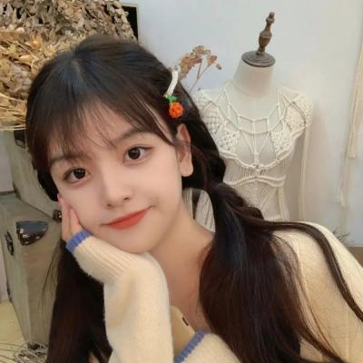 阿瓦勒公主埃琳娜第二季